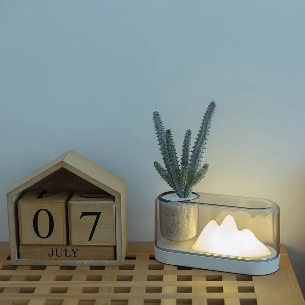 Mini Plant Lamp
