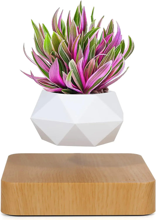 Floating Plants