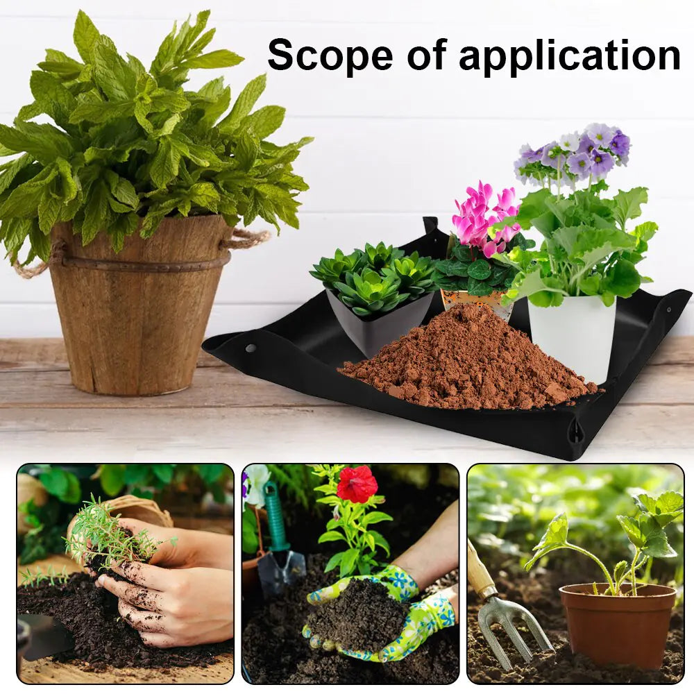 Plant Seedling Mat