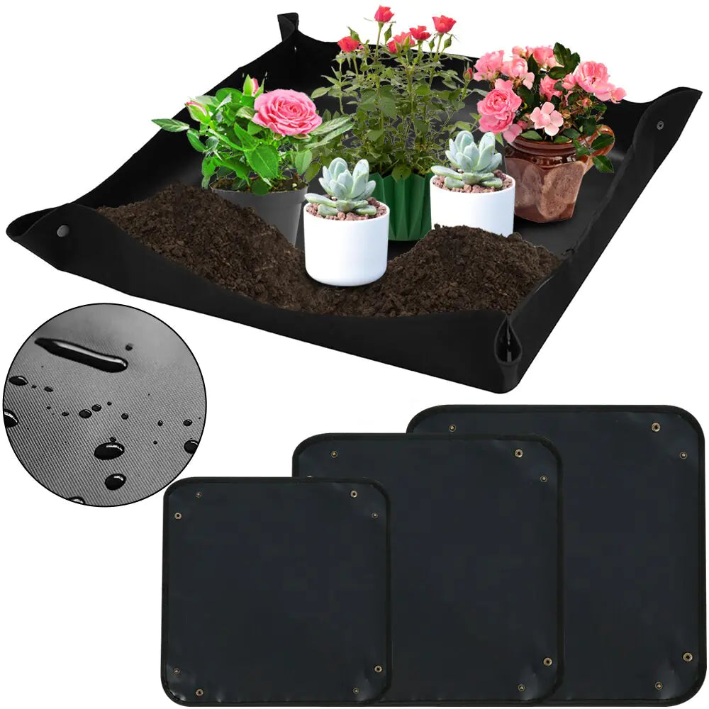 Plant Seedling Mat