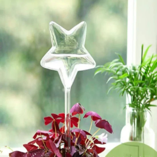 Self Watering Plant Glass