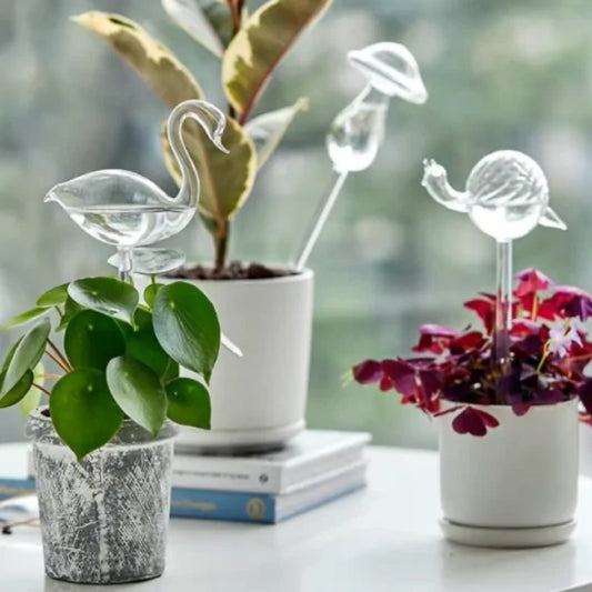Self Watering Plant Glass