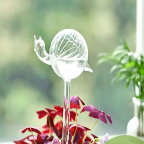 Self Watering Plant Glass