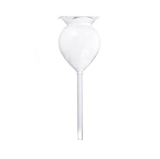 Self Watering Plant Glass