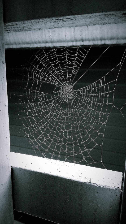 Webbed Static Poster