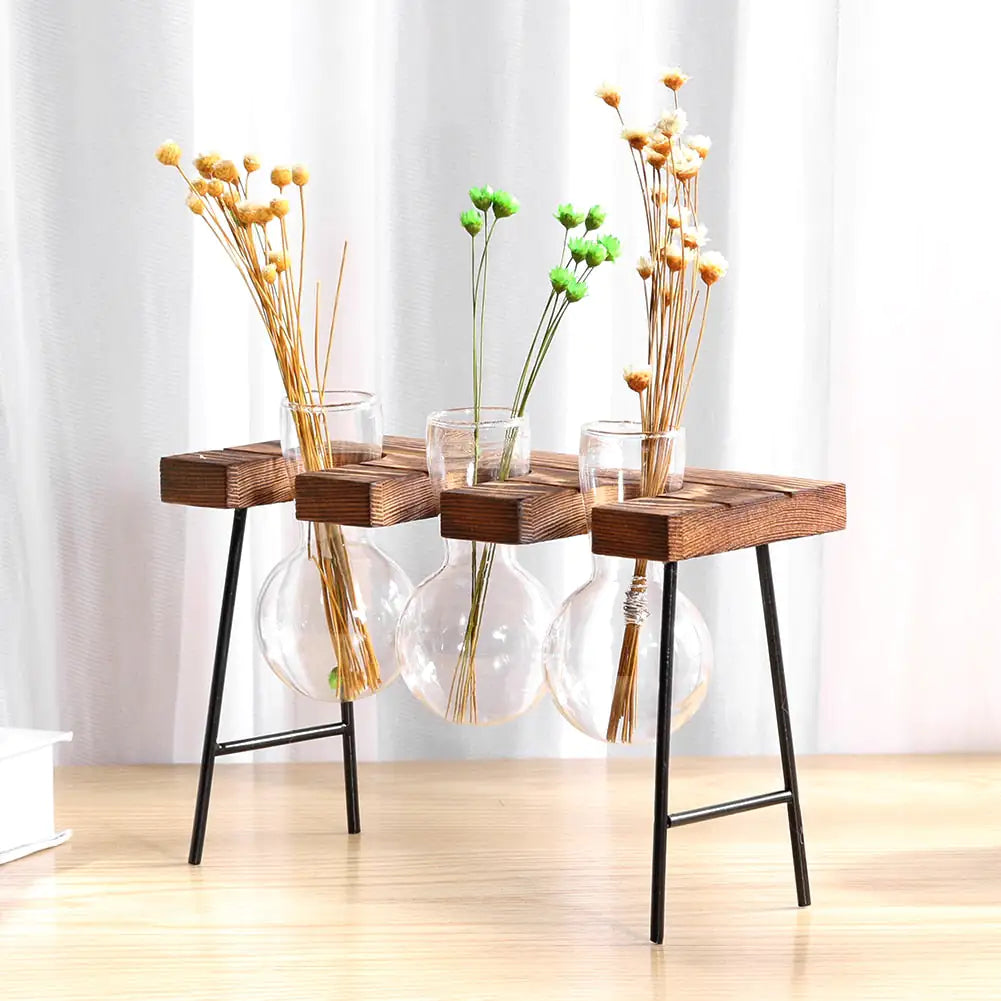 Tabletop Terrariums